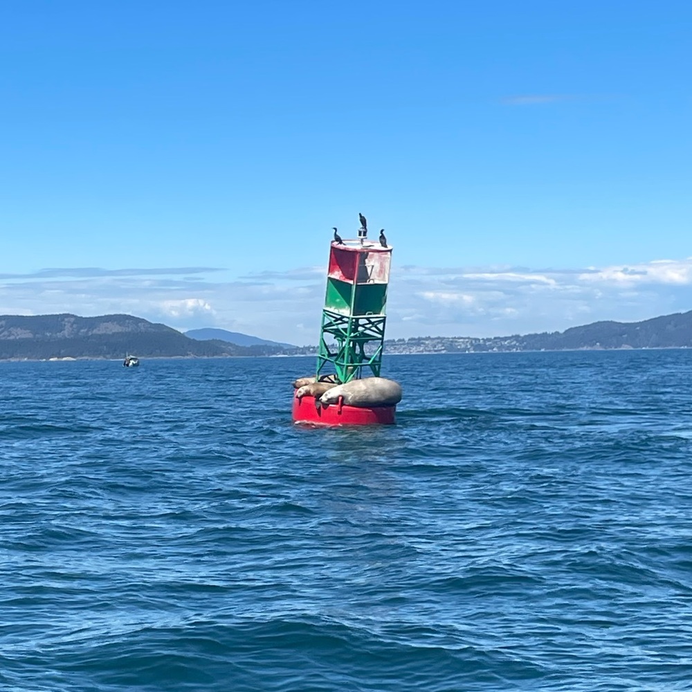 Meet your Posher, Cleopatra